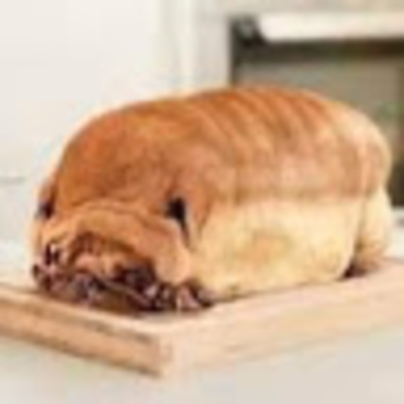 Meet your Posher, Vivian - Picture 1 of 1